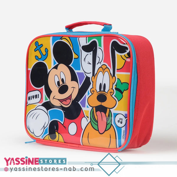 RECTANGULAR INSULATED BAGS